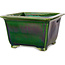 Square green bonsai pot by Terahata Satomi Mazan - 196 x 196 x 118 mm