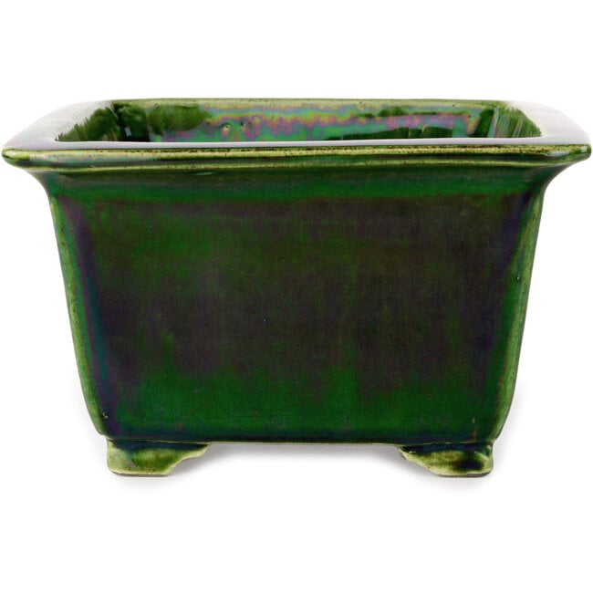 Square green bonsai pot by Terahata Satomi Mazan - 196 x 196 x 118 mm