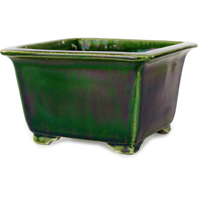 Square green bonsai pot by Terahata Satomi Mazan - 196 x 196 x 118 mm