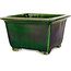 Square green bonsai pot by Terahata Satomi Mazan - 196 x 196 x 118 mm