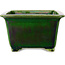 Vierkante groene bonsaipot van Terahata Satomi Mazan - 196 x 196 x 118 mm
