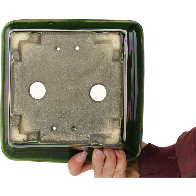 Maceta cuadrada para bonsái verde de Terahata Satomi Mazan - 196 x 196 x 118 mm