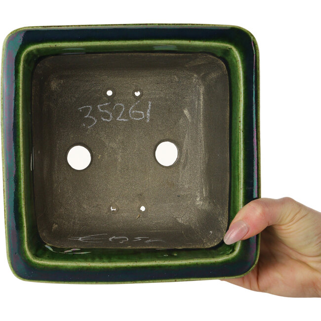 Pot à bonsaï carré vert par Terahata Satomi Mazan - 196 x 196 x 118 mm