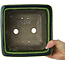 Square green bonsai pot by Terahata Satomi Mazan - 196 x 196 x 118 mm