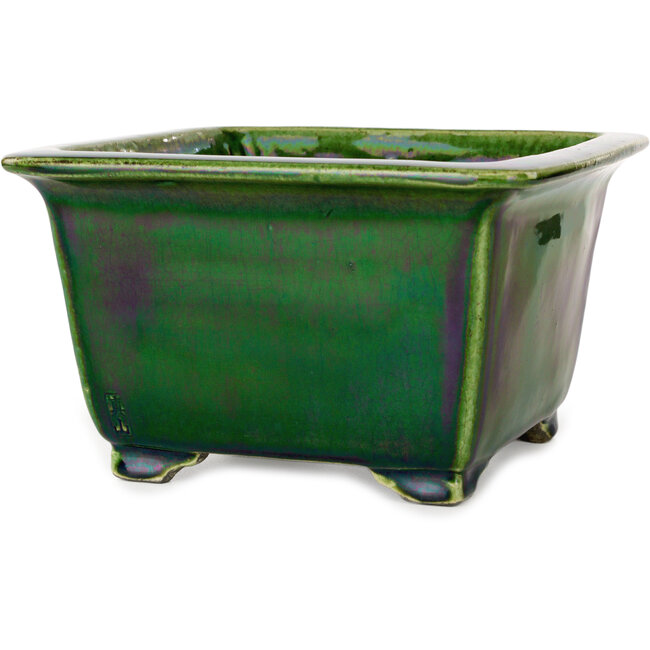 Vaso bonsai quadrato verde di Terahata Satomi Mazan - 196 x 196 x 118 mm