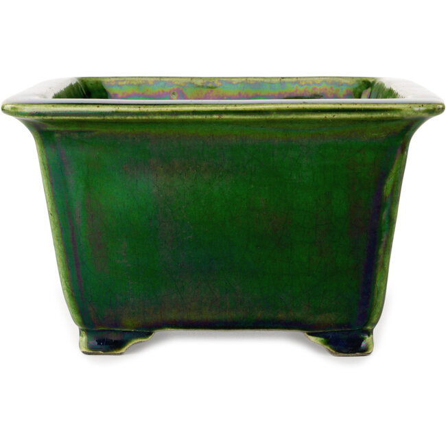 Maceta cuadrada para bonsái verde de Terahata Satomi Mazan - 196 x 196 x 118 mm