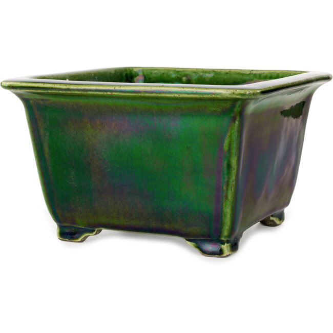 Maceta cuadrada para bonsái verde de Terahata Satomi Mazan - 196 x 196 x 118 mm
