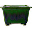 Square green bonsai pot by Terahata Satomi Mazan - 196 x 196 x 118 mm