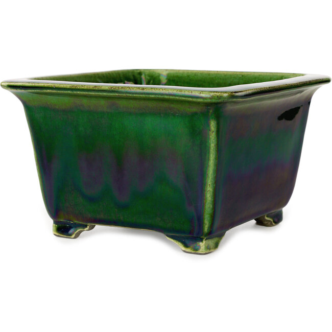 Pot à bonsaï carré vert par Terahata Satomi Mazan - 196 x 196 x 118 mm