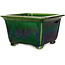 Vaso bonsai quadrato verde di Terahata Satomi Mazan - 196 x 196 x 118 mm
