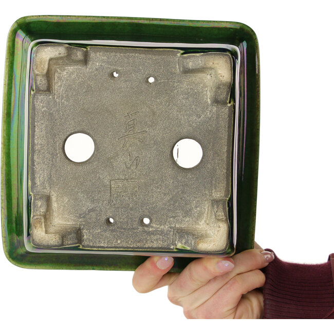 Square green bonsai pot by Terahata Satomi Mazan - 196 x 196 x 118 mm