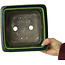 Square green bonsai pot by Terahata Satomi Mazan - 196 x 196 x 118 mm