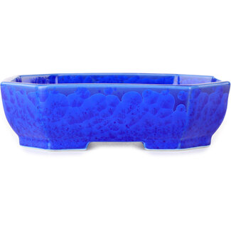  Heian Senzan 161 mm oval dark blue, crystal glaze bonsai pot by Heian Senzan, Tokoname, Japan