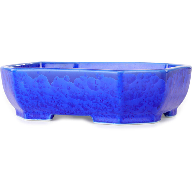 Oval dark blue, crystal glaze bonsai pot by Heian Senzan - 161 x 132 x 50 mm