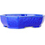 Oval dark blue, crystal glaze bonsai pot by Heian Senzan - 161 x 132 x 50 mm