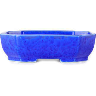  Heian Senzan 161 mm oval dark blue, crystal glaze bonsai pot by Heian Senzan, Tokoname, Japan