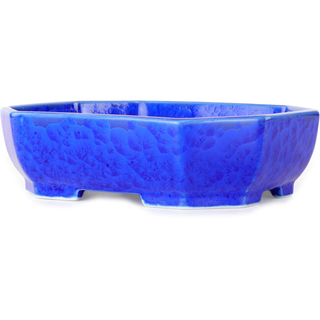 Oval dark blue, crystal glaze bonsai pot by Heian Senzan - 161 x 132 x 50 mm