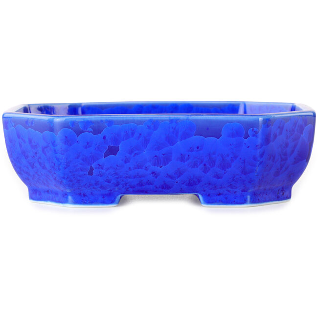 Oval dark blue, crystal glaze bonsai pot by Heian Senzan - 161 x 132 x 50 mm