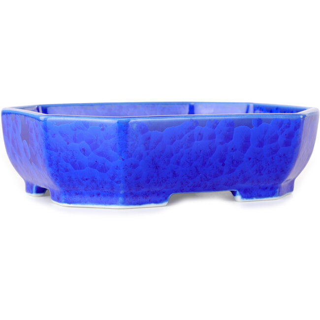 Oval dark blue, crystal glaze bonsai pot by Heian Senzan - 161 x 132 x 50 mm