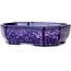 Oval purple, crystal glaze bonsai pot by Heian Senzan - 161 x 132 x 50 mm
