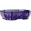 Oval purple, crystal glaze bonsai pot by Heian Senzan - 161 x 132 x 50 mm