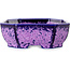 Oval purple, crystal glaze bonsai pot by Heian Senzan - 161 x 132 x 50 mm