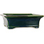 Rectangular green bonsai pot by Terahata Satomi Mazan - 278 x 245 x 90 mm