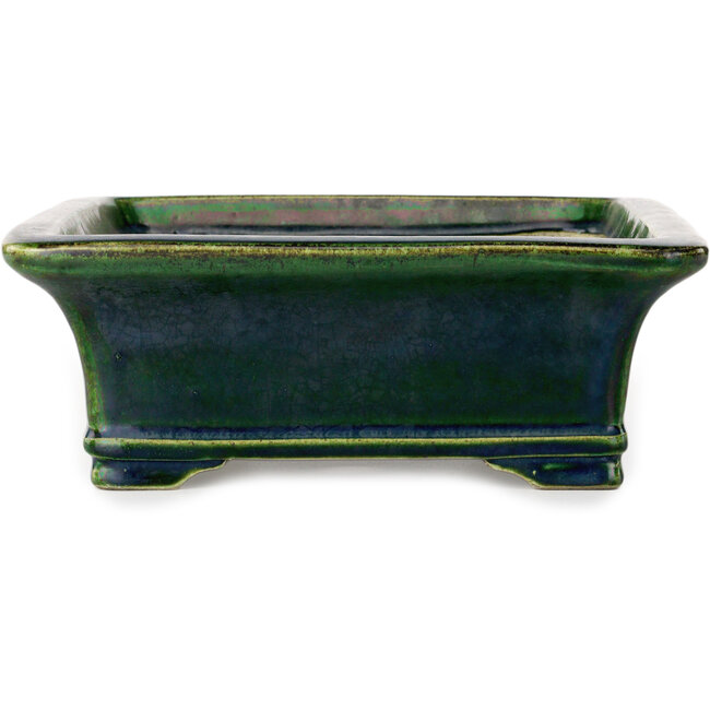 Rectangular green bonsai pot by Terahata Satomi Mazan - 278 x 245 x 90 mm