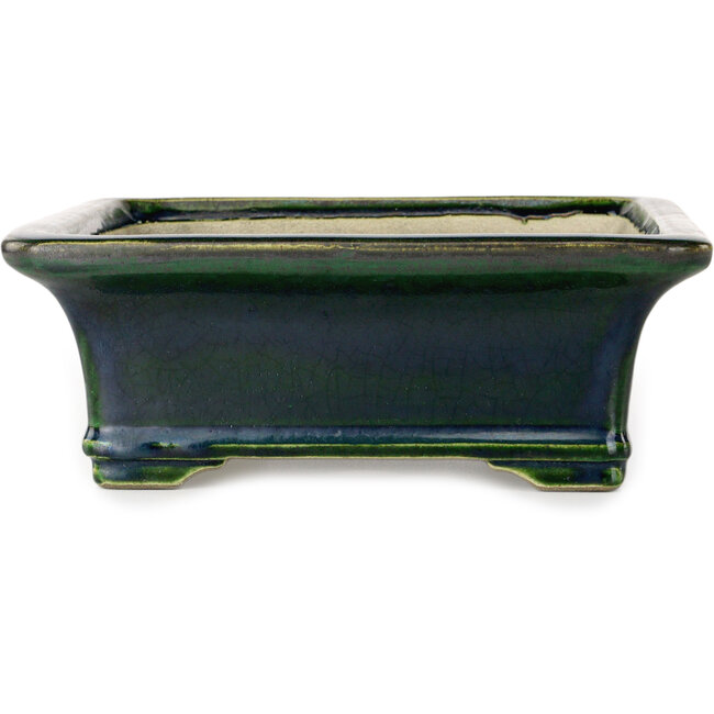 Rectangular green bonsai pot by Terahata Satomi Mazan - 278 x 245 x 90 mm