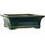 Rectangular green bonsai pot by Terahata Satomi Mazan - 278 x 245 x 90 mm