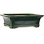 Rectangular green bonsai pot by Terahata Satomi Mazan - 278 x 245 x 90 mm