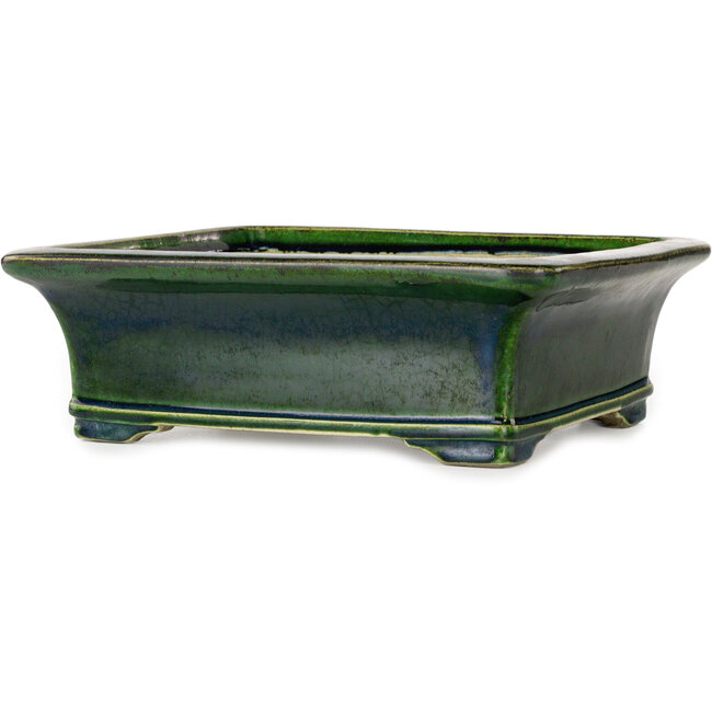 Rectangular green bonsai pot by Terahata Satomi Mazan - 278 x 245 x 90 mm
