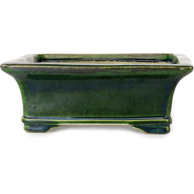 Rectangular green bonsai pot by Terahata Satomi Mazan - 278 x 245 x 90 mm