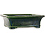 Rectangular green bonsai pot by Terahata Satomi Mazan - 278 x 245 x 90 mm
