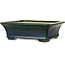 Rectangular green bonsai pot by Terahata Satomi Mazan - 250 x 215 x 82 mm