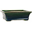 Rectangular green bonsai pot by Terahata Satomi Mazan - 250 x 215 x 82 mm