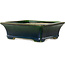Rectangular green bonsai pot by Terahata Satomi Mazan - 250 x 215 x 82 mm