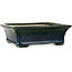 Rectangular green bonsai pot by Terahata Satomi Mazan - 250 x 215 x 82 mm