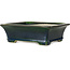 Rectangular green bonsai pot by Terahata Satomi Mazan - 250 x 215 x 82 mm