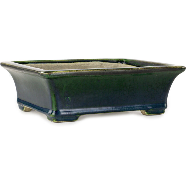 Rectangular green bonsai pot by Terahata Satomi Mazan - 250 x 215 x 82 mm