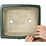 Rectangular green bonsai pot by Terahata Satomi Mazan - 250 x 215 x 82 mm