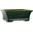 Rectangular green bonsai pot by Terahata Satomi Mazan - 215 x 180 x 83 mm