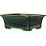 Rectangular green bonsai pot by Terahata Satomi Mazan - 215 x 180 x 83 mm