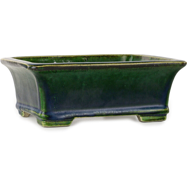 Rectangular green bonsai pot by Terahata Satomi Mazan - 215 x 180 x 83 mm