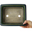 Rectangular green bonsai pot by Terahata Satomi Mazan - 215 x 180 x 83 mm