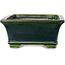 Maceta rectangular para bonsái verde de Terahata Satomi Mazan - 215 x 180 x 83 mm