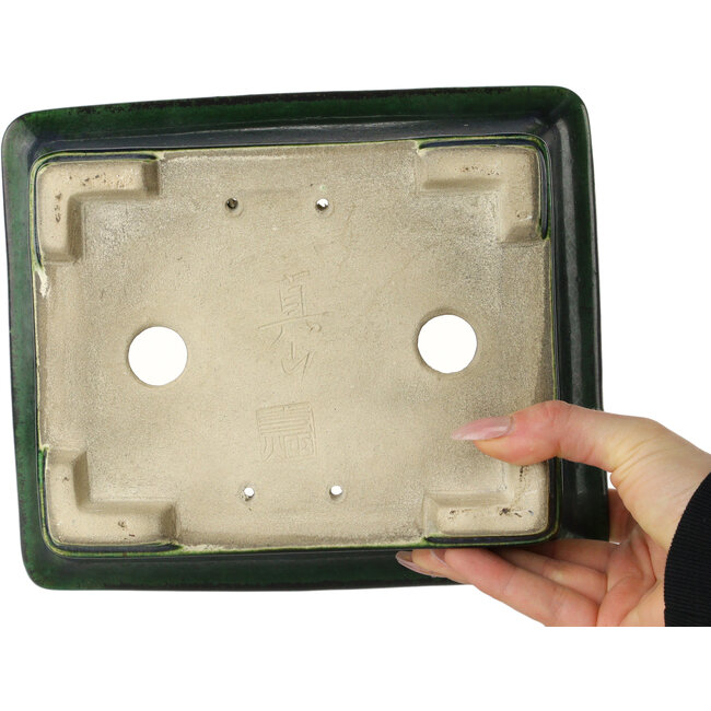 Maceta rectangular para bonsái verde de Terahata Satomi Mazan - 215 x 180 x 83 mm