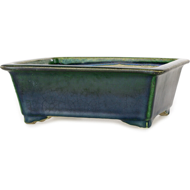 Rectangular green bonsai pot by Terahata Satomi Mazan - 197 x 168 x 70 mm