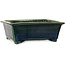 Rectangular green bonsai pot by Terahata Satomi Mazan - 197 x 168 x 70 mm