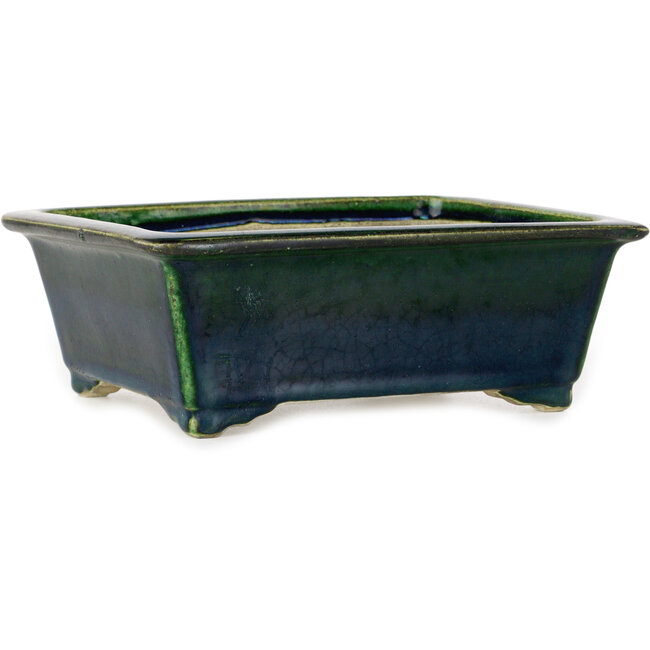 Rectangular green bonsai pot by Terahata Satomi Mazan - 197 x 168 x 70 mm